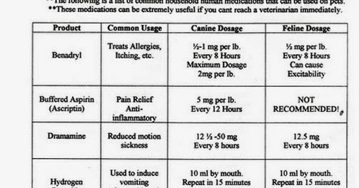 How much Dramamine is okay for dogs? - paperwingrvice.web.fc2.com